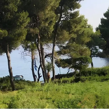 Ваканционна къща Mollys House Chalkidiki